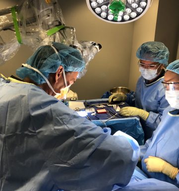 {{brizy_dc_image_alt imageSrc=