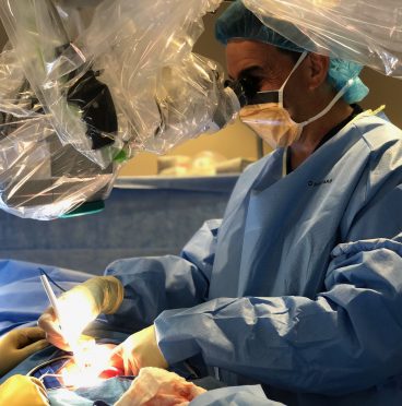 {{brizy_dc_image_alt imageSrc=